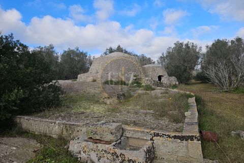 Tomt i Martano, Lecce, Martano - € 55 000 | Ref: TR002 - foto 16